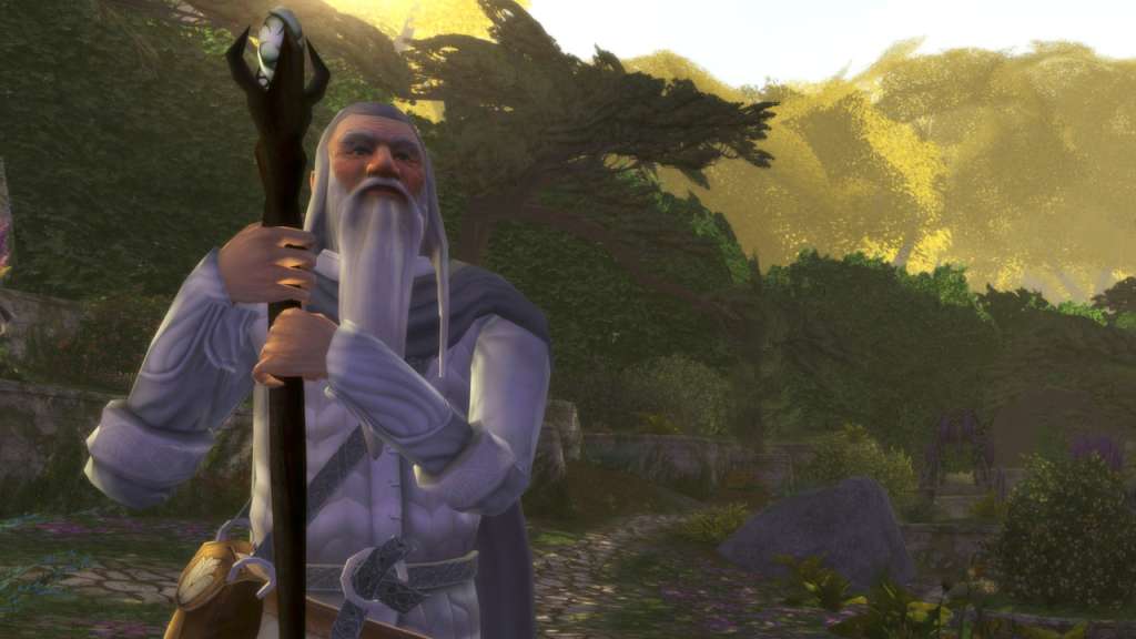 The Lord of the Rings Online 800 LOTRO Point EU Code 10.06 usd