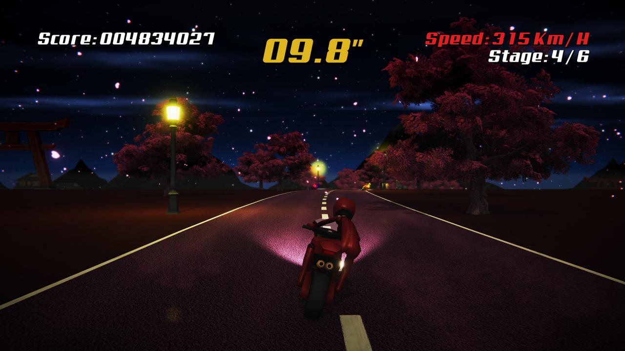 Super Night Riders Steam CD Key 1.34 usd