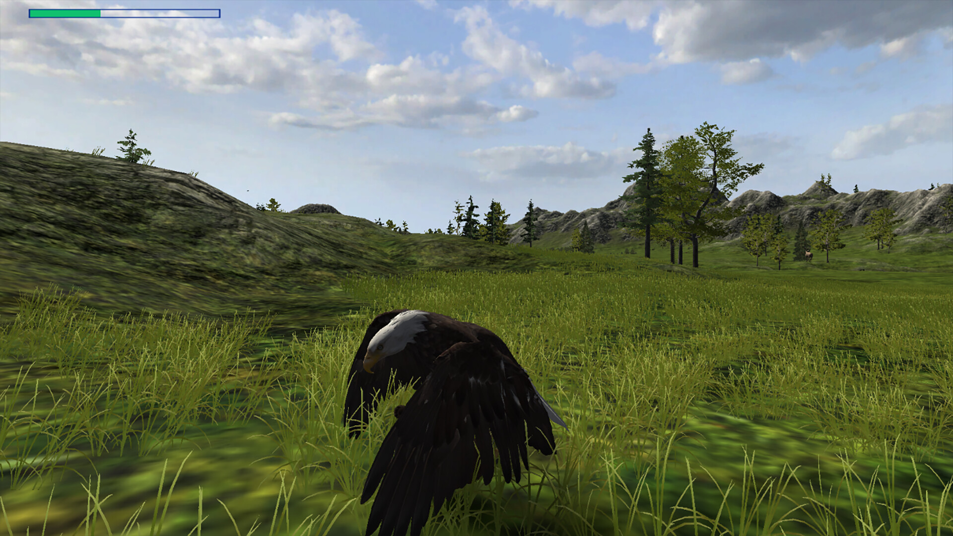 Eagle Hunting Journey Steam CD Key 0.41 usd